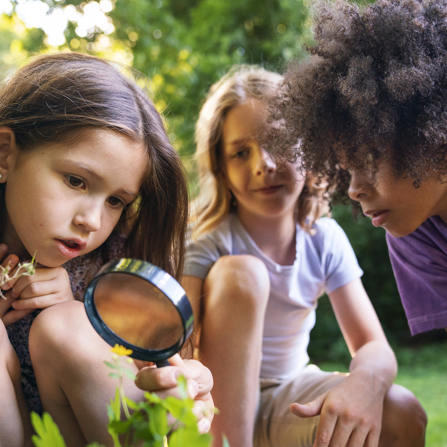 Kids looking at nature with a magnifying glass