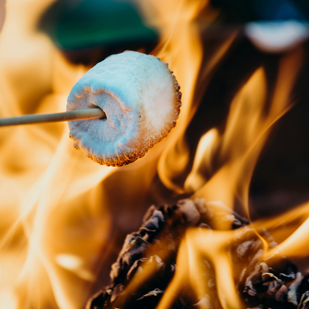 Marshmallow on a stick roasting on a campfire