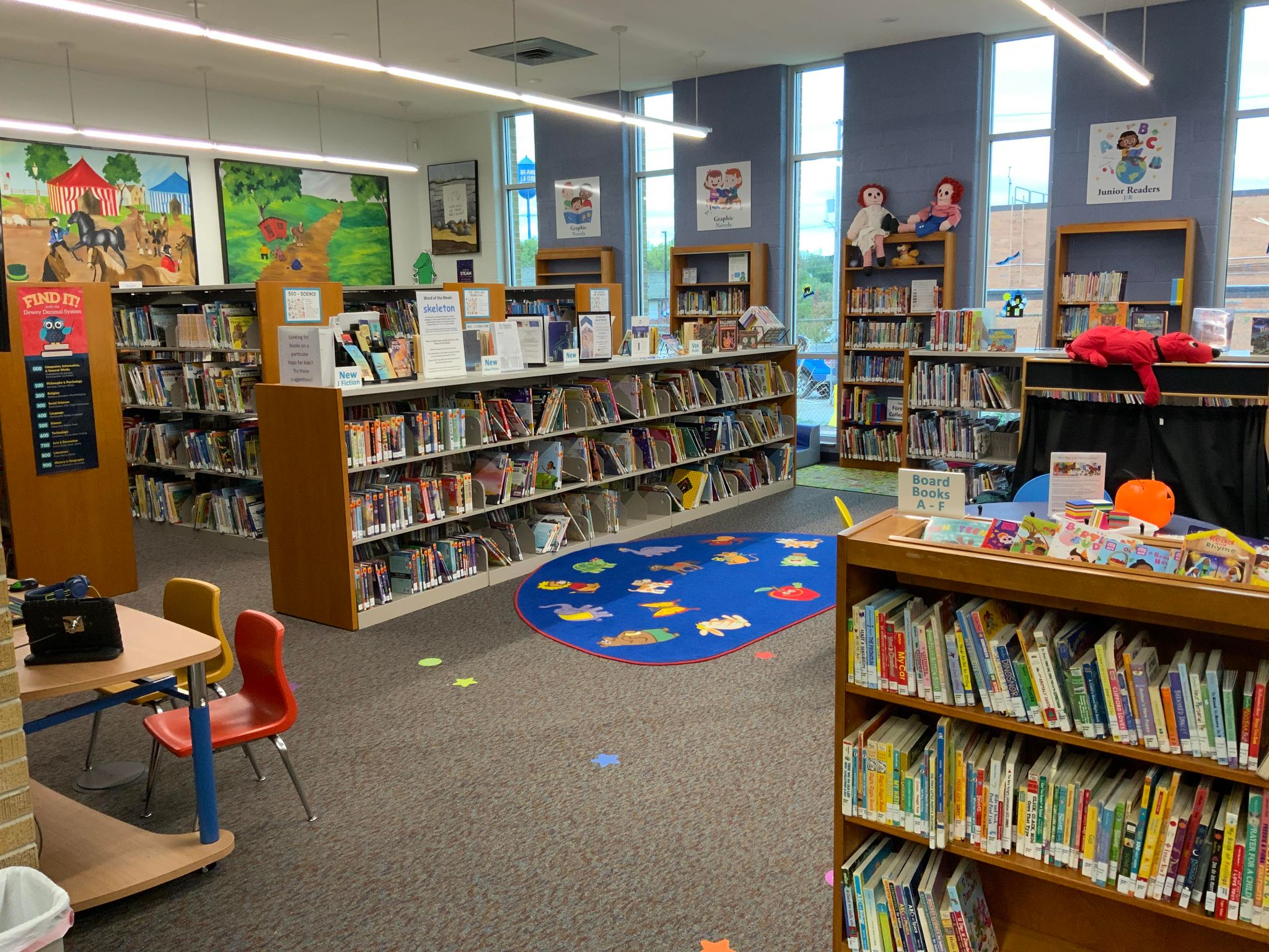 New library shelves