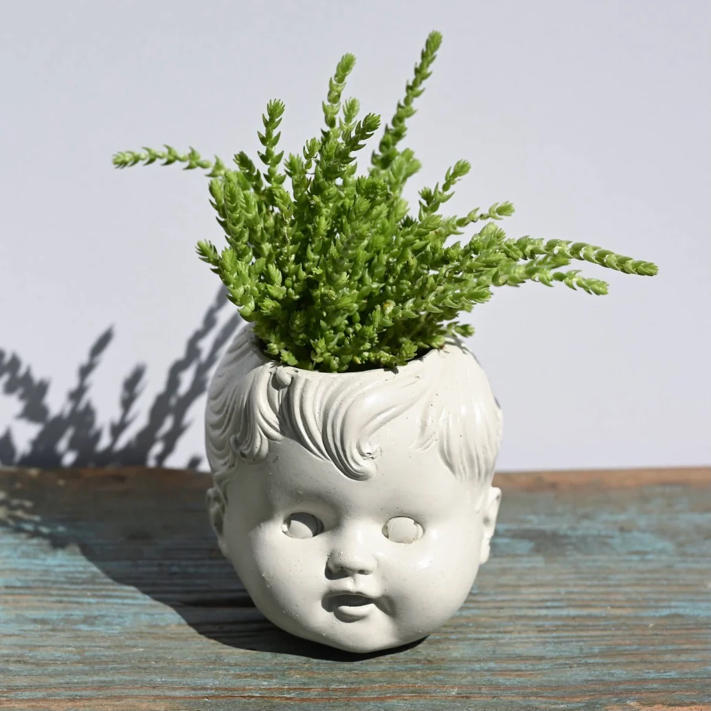Doll head planter with succulent