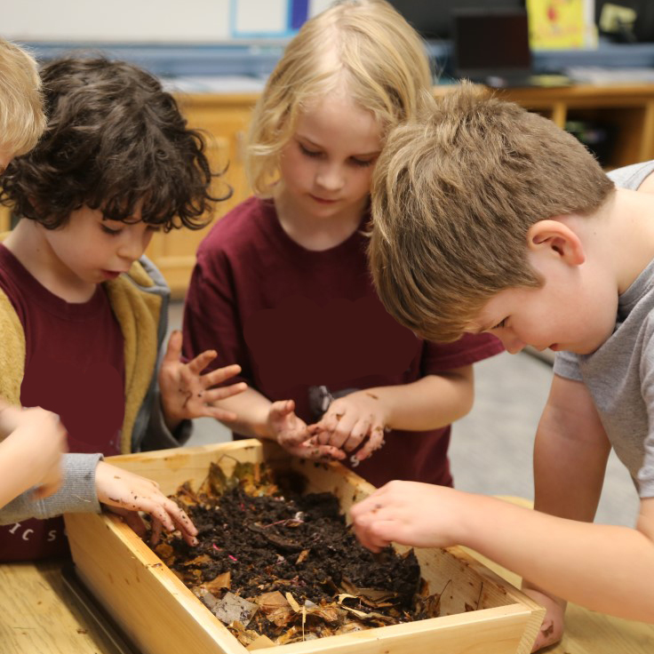 Kids looking at worms in a vermicompost box