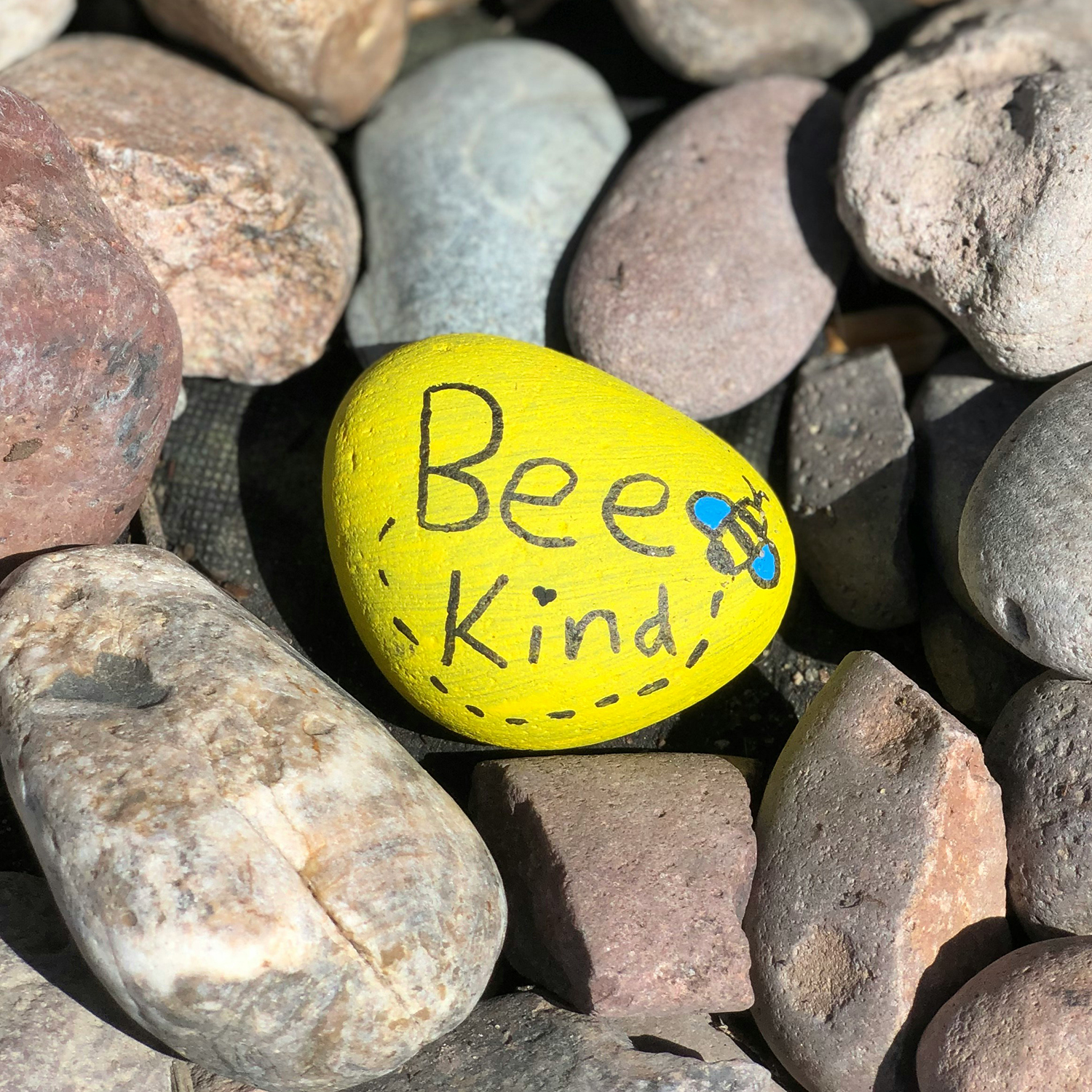 Painted rock with Bee Kind on it and a bee