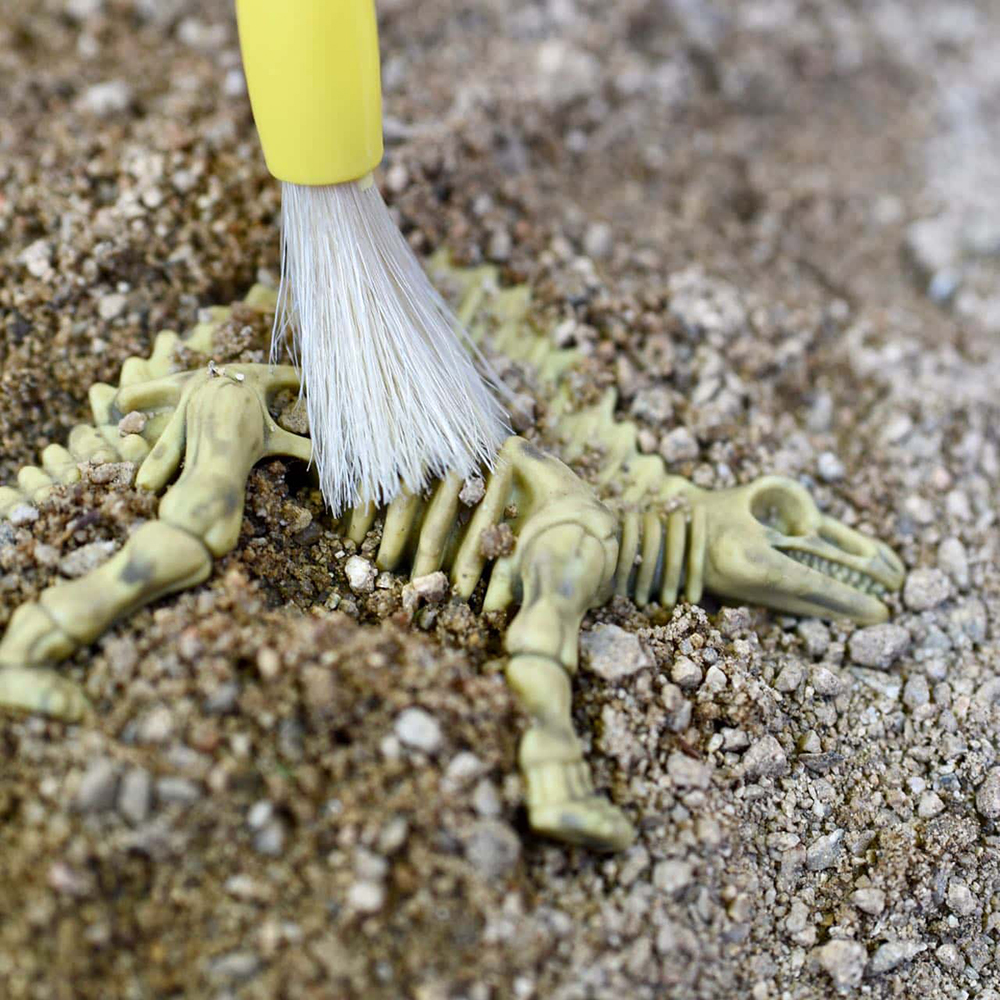 Digging up a plastic dinosaur skeleton