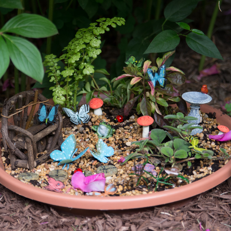 Fairy Garden in a terra cotta saucer