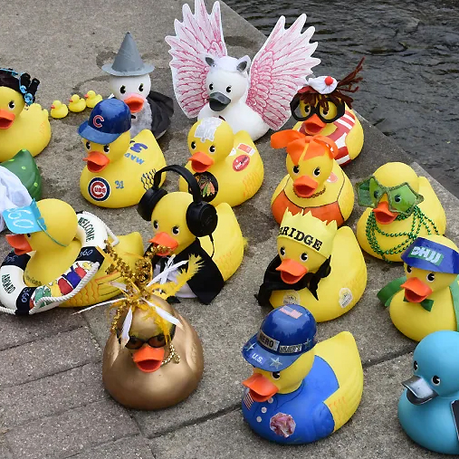 Several rubber ducks in costumes