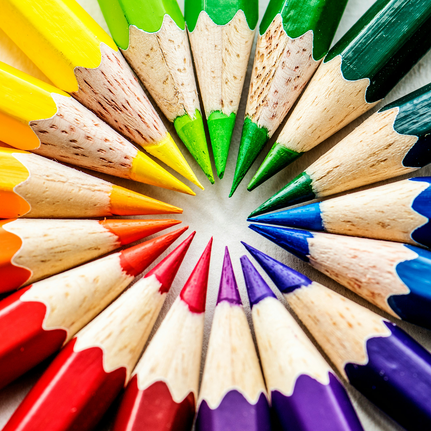A rainbow assortment of colored pencils